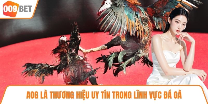 AOG là thương hiệu uy tín trong lĩnh vực đá gà