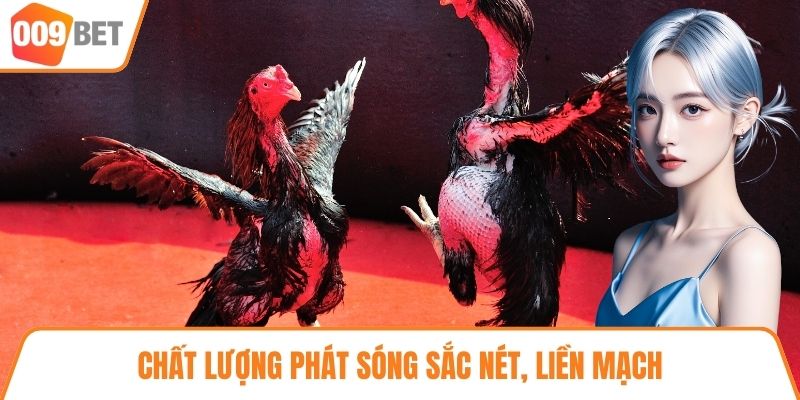 Chất lượng phát sóng sắc nét, liền mạch