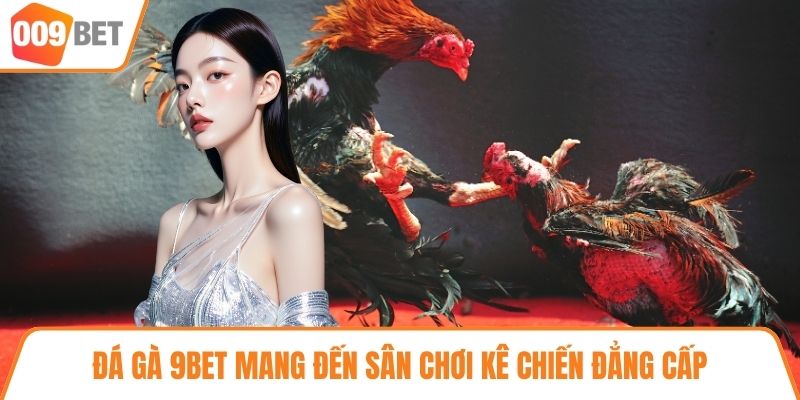 Đá gà 9BET mang đến sân chơi kê chiến đẳng cấp