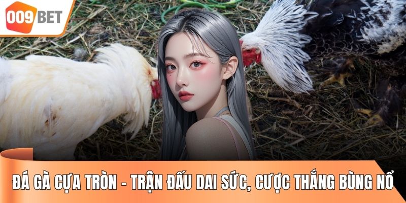 Đá Gà Cựa Tròn