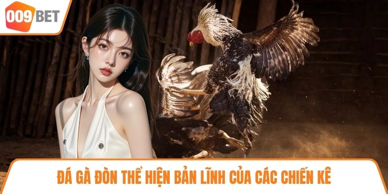 Đá gà đòn thể hiện bản lĩnh của các chiến kê