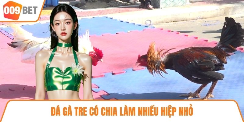 Đá gà tre có chia làm nhiều hiệp nhỏ