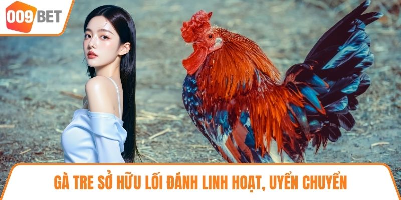 Gà tre sở hữu lối đánh linh hoạt, uyển chuyển